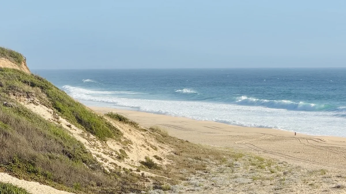 The wide beach and Atlantic Ocean at Comporta, Portugal, framed by dunes and sea grass.